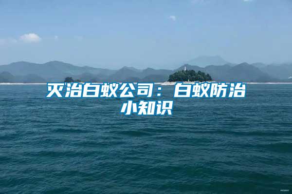 滅治白蟻公司:白蟻防治小知識
