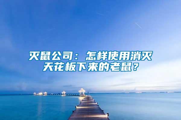 滅鼠公司:怎樣使用消滅天花板下來的老鼠?
