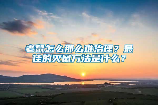 老鼠怎么那么難治理?最佳的滅鼠方法是什么?