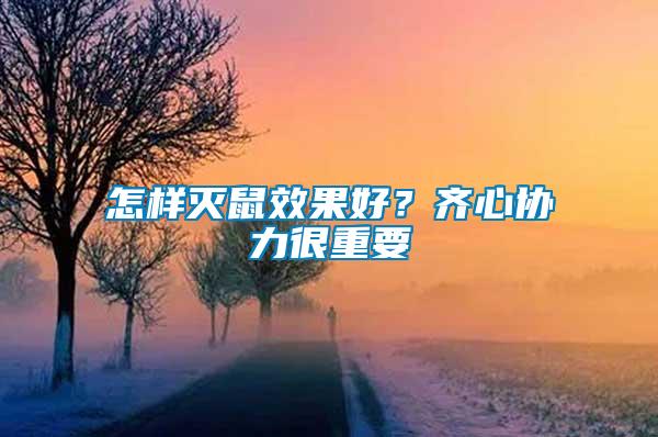 怎樣滅鼠效果好？齊心協力很重要