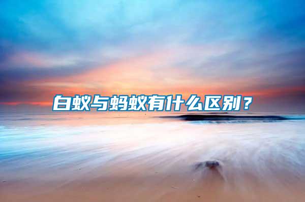 白蟻與螞蟻有什么區別?