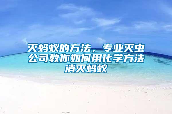 滅螞蟻的方法,專業滅蟲公司教你如何用化學方法消滅螞蟻