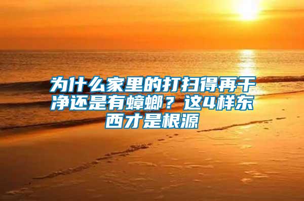 為什么家里的打掃得再干凈還是有蟑螂?這4樣東西才是根源