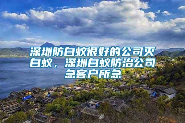 深圳防白蟻很好的公司滅白蟻,深圳白蟻防治公司急客戶所急