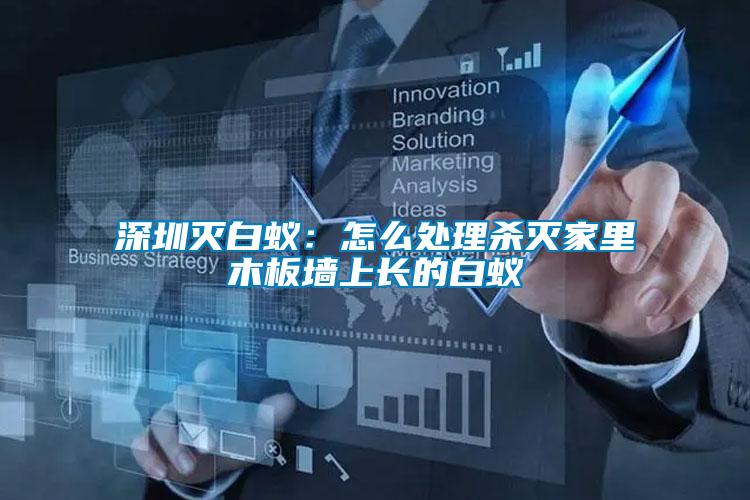 深圳滅白蟻:怎么處理殺滅家里木板墻上長的白蟻