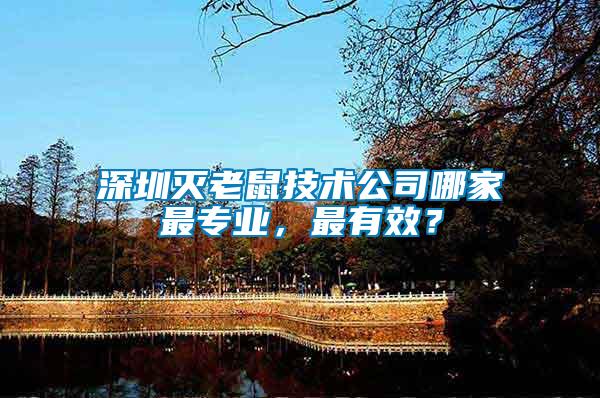 深圳滅老鼠技術公司哪家最專業,最有效?