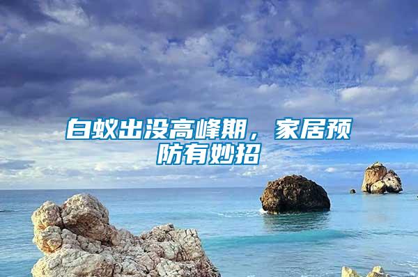 白蟻出沒高峰期,家居預防有妙招