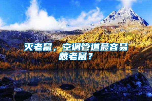 滅老鼠,空調(diào)管道最容易藏老鼠?