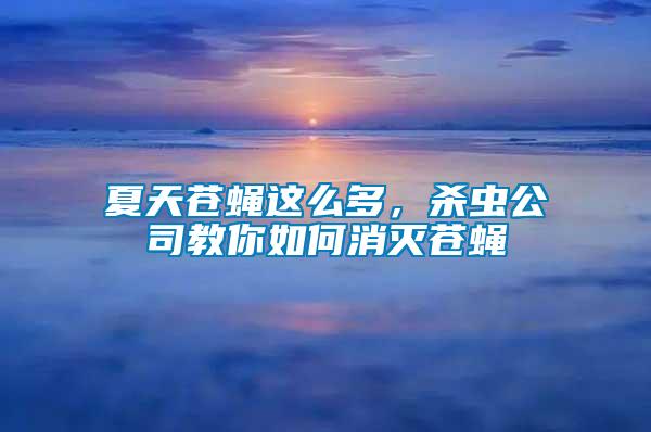 夏天蒼蠅這么多,殺蟲公司教你如何消滅蒼蠅