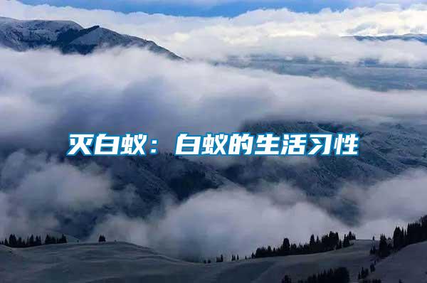 滅白蟻:白蟻的生活習性