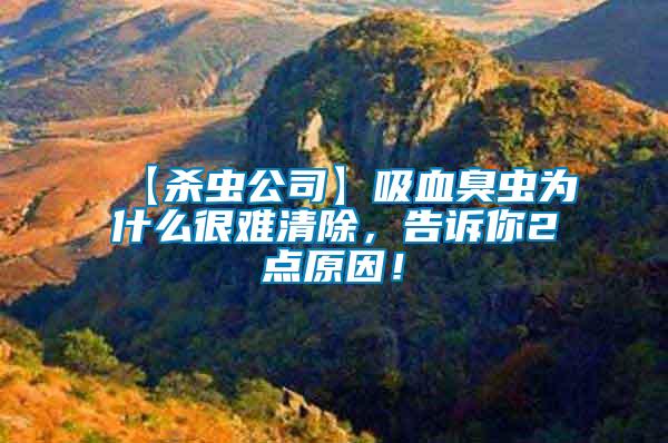 【殺蟲公司】吸血臭蟲為什么很難清除,告訴你2點原因!