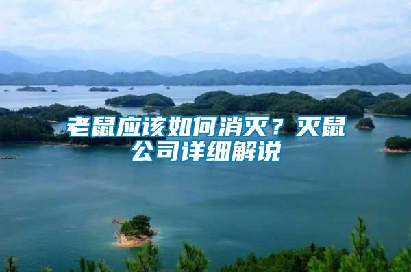 老鼠應該如何消滅?滅鼠公司詳細解說