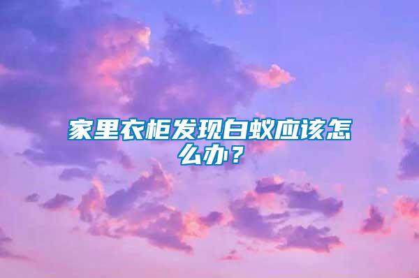 家里衣柜發(fā)現(xiàn)白蟻應(yīng)該怎么辦?