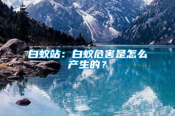 白蟻站:白蟻危害是怎么產(chǎn)生的?