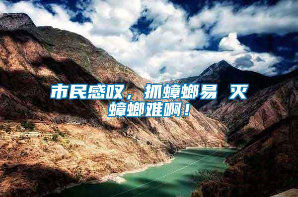 市民感嘆，抓蟑螂易 滅蟑螂難??！