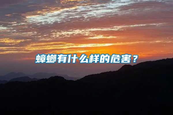 蟑螂有什么樣的危害?