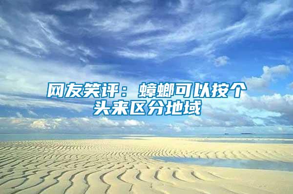 網友笑評:蟑螂可以按個頭來區分地域