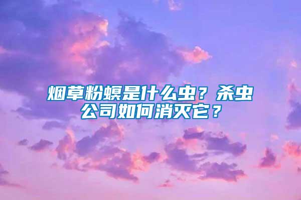 煙草粉螟是什么蟲？殺蟲公司如何消滅它？