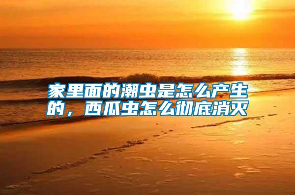 家里面的潮蟲是怎么產(chǎn)生的,西瓜蟲怎么徹底消滅