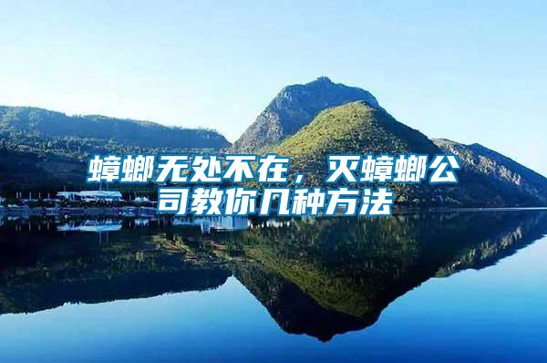 蟑螂無處不在,滅蟑螂公司教你幾種方法