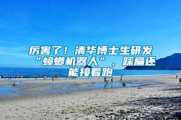 厲害了!清華博士生研發“蟑螂機器人”,踩扁還能接著跑