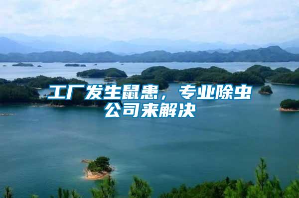 工廠發生鼠患,專業除蟲公司來解決