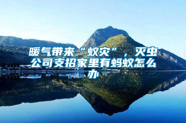 暖氣帶來“蟻災(zāi)”,滅蟲公司支招家里有螞蟻怎么辦