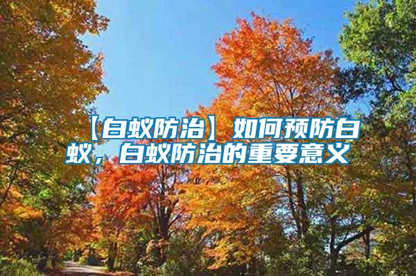 【白蟻防治】如何預防白蟻,白蟻防治的重要意義