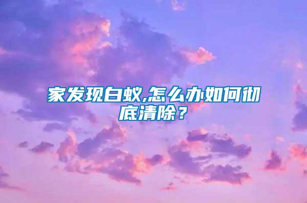 家發現白蟻,怎么辦如何徹底清除?