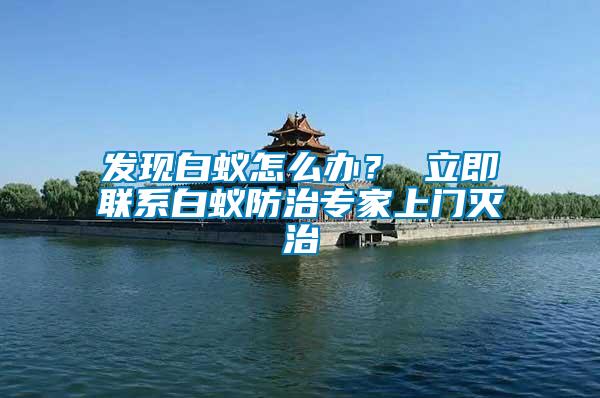 發現白蟻怎么辦? 立即聯系白蟻防治專家上門滅治