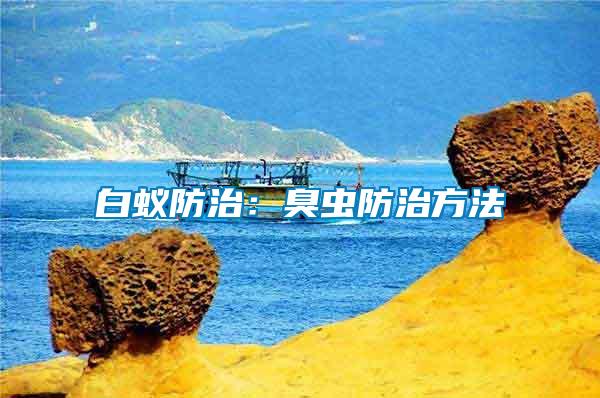 白蟻防治:臭蟲防治方法