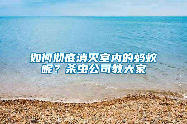 如何徹底消滅室內的螞蟻呢?殺蟲公司教大家