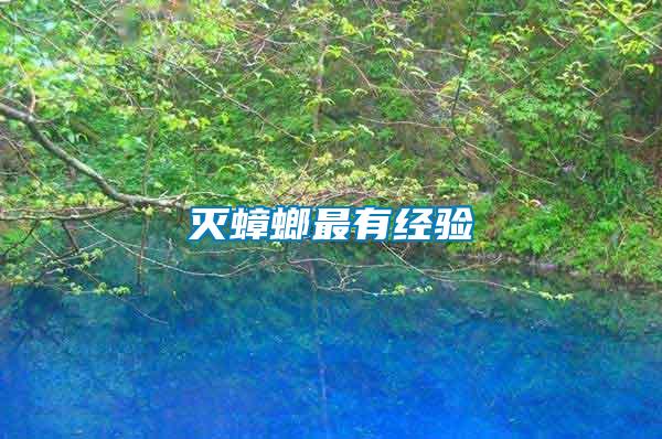 滅蟑螂最有經驗