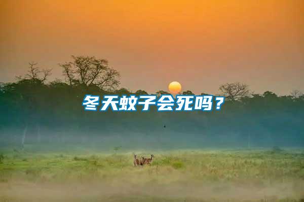 冬天蚊子會死嗎?