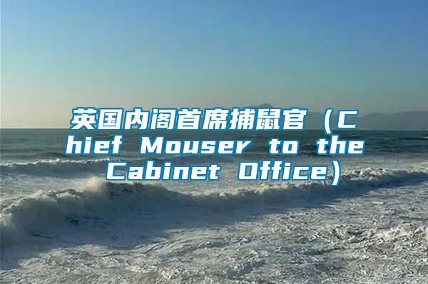 英國內(nèi)閣首席捕鼠官(Chief Mouser to the Cabinet Office)