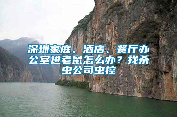 深圳家庭、酒店、餐廳辦公室進(jìn)老鼠怎么辦?找殺蟲(chóng)公司蟲(chóng)控