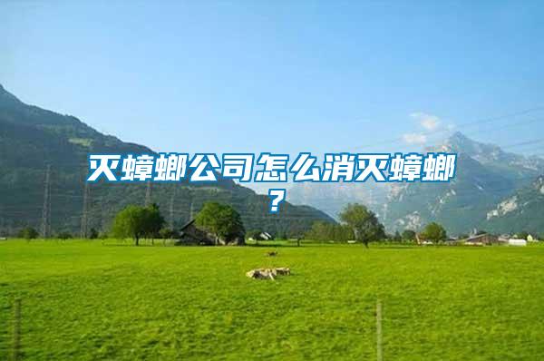 滅蟑螂公司怎么消滅蟑螂?