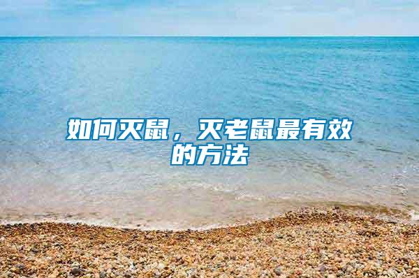 如何滅鼠,滅老鼠最有效的方法