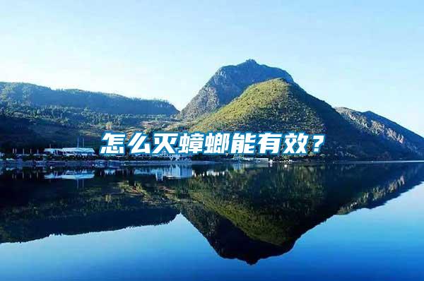 怎么滅蟑螂能有效?