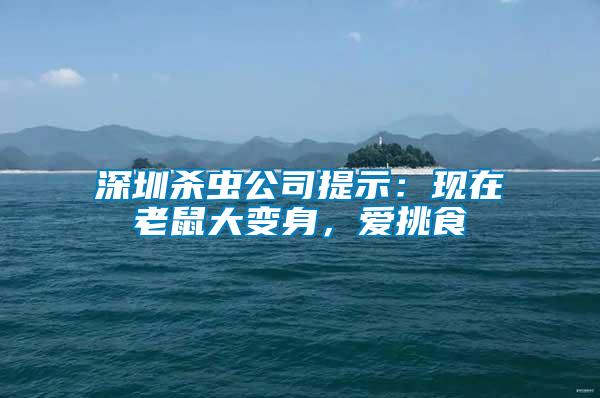 深圳殺蟲公司提示:現在老鼠大變身,愛挑食