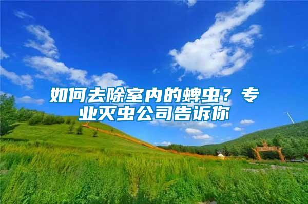 如何去除室內(nèi)的蜱蟲?專業(yè)滅蟲公司告訴你