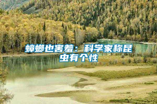 蟑螂也害羞:科學家稱昆蟲有個性