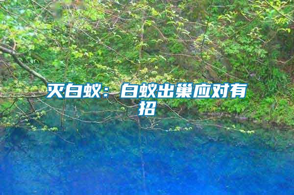 滅白蟻:白蟻出巢應(yīng)對(duì)有招