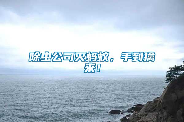 除蟲公司滅螞蟻,手到擒來!