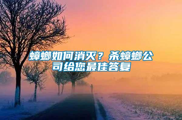 蟑螂如何消滅？殺蟑螂公司給您最佳答復(fù)