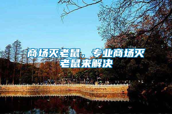 商場滅老鼠，專業商場滅老鼠來解決