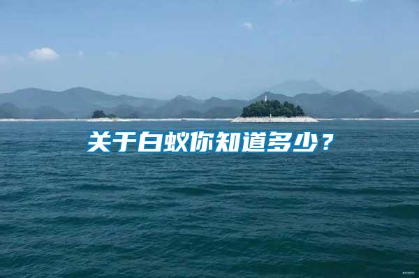 關于白蟻你知道多少?