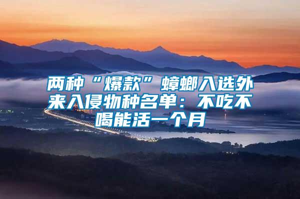 兩種“爆款”蟑螂入選外來(lái)入侵物種名單:不吃不喝能活一個(gè)月
