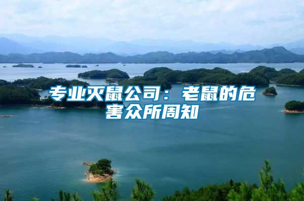 專業滅鼠公司:老鼠的危害眾所周知