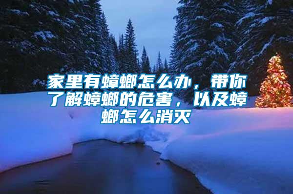 家里有蟑螂怎么辦,帶你了解蟑螂的危害,以及蟑螂怎么消滅